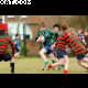 image 41 of 54